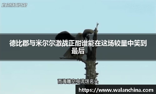 星空电竞官方