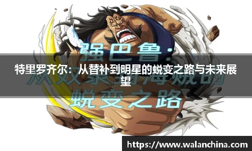 特里罗齐尔：从替补到明星的蜕变之路与未来展望