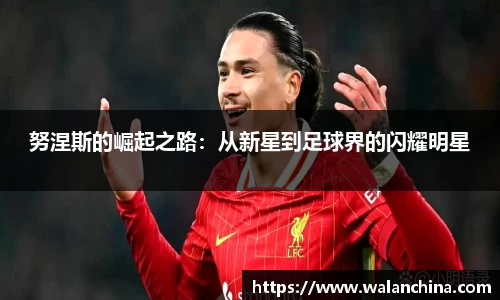 努涅斯的崛起之路：从新星到足球界的闪耀明星