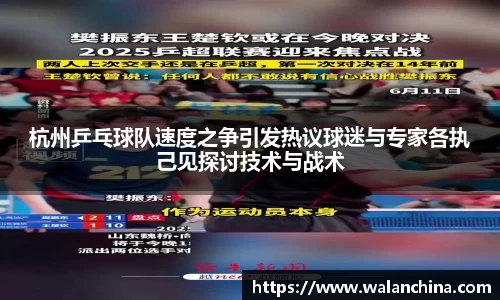 杭州乒乓球队速度之争引发热议球迷与专家各执己见探讨技术与战术